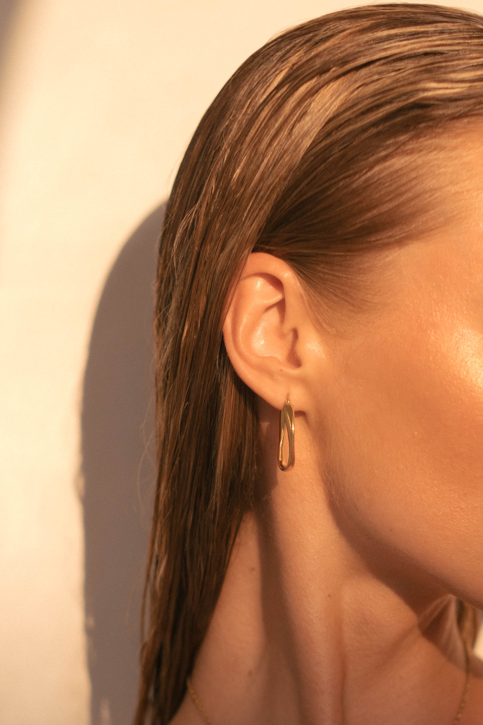 Bliss Hoops - Gold Earrings Twenty Compass   