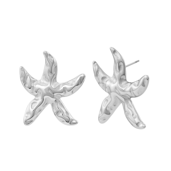  Boucles d'Oreilles Voyage- Argent