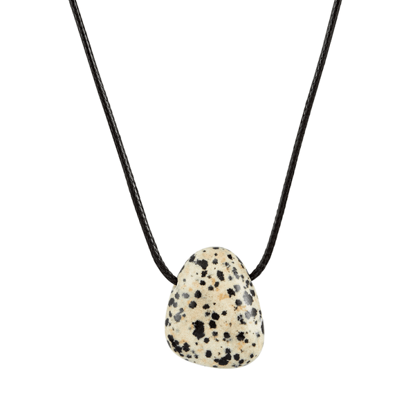 Necklace with a dalmatian jasper stone pendant on a white background Calico Necklace