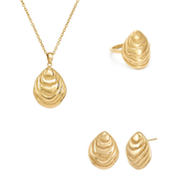 Oyster Bundle - Gold
