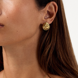 Oyster Earrings