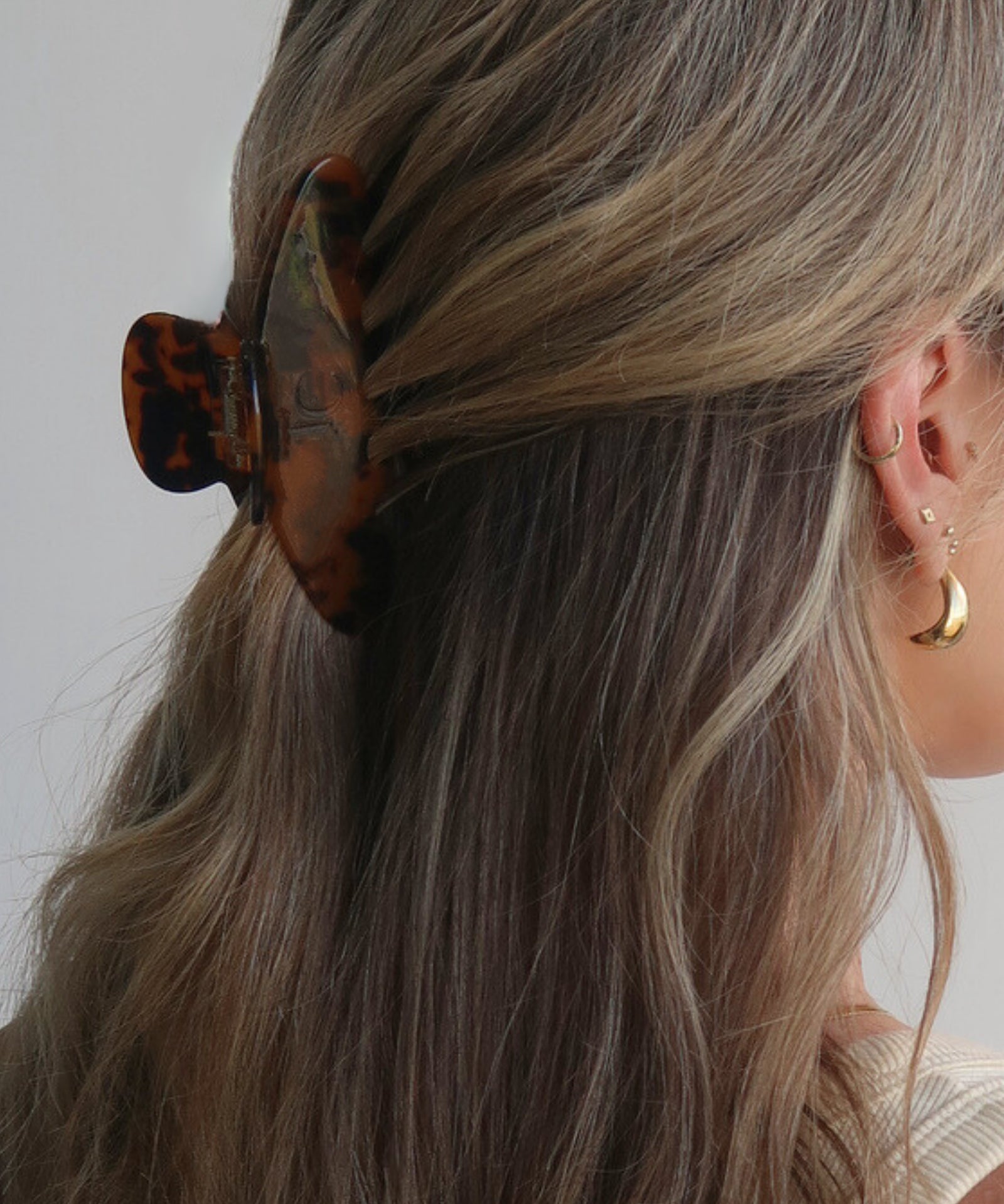 Tortoise Hair Clip