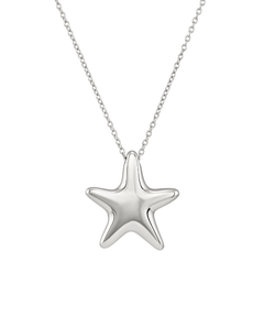 Silver starfish pendant necklace on a delicate link chain, isolated on a white background.