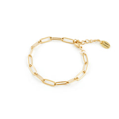 Paperclip Bracelet - Gold Bracelets Twenty Compass   
